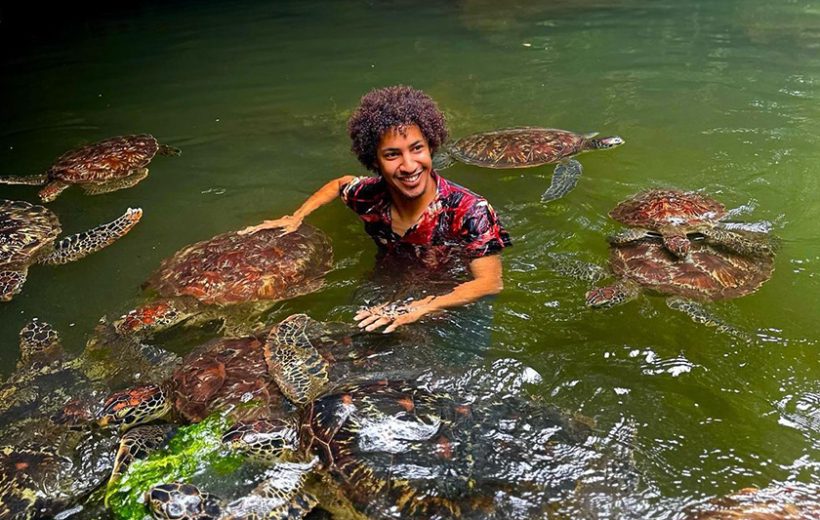 Sea Turtle Aquarium Tour | swimming with Turtle