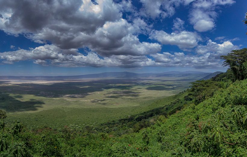 6 Days Safari Tarangire Np, Ngorongoro Crater and Serengeti Np.