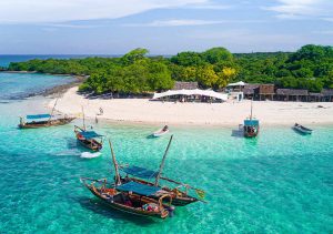 Safari Blue Tour | with Sea food lunch in Zanzibar